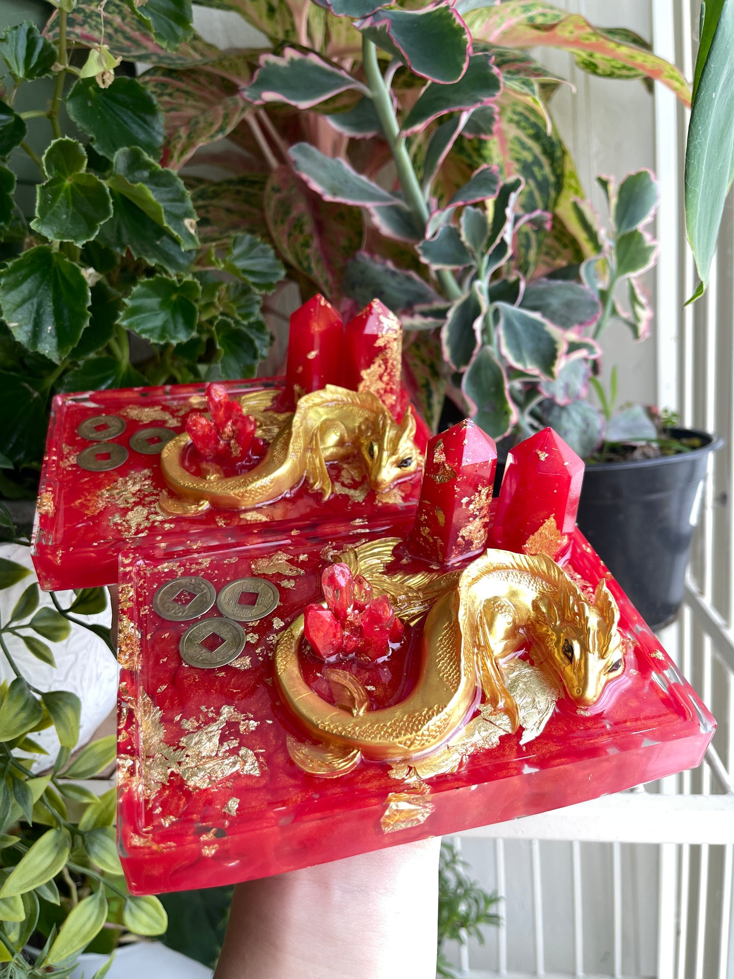 Lucky Dragon Trays (Limited Edition)
