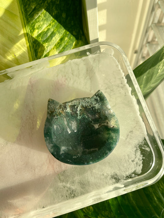 Small Cat Moss Agate Bowl